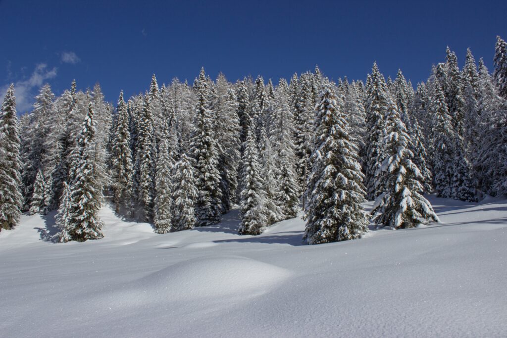 Italian,Mountain,Winter,Landscape.,Expanse,Of,Snow,And,The,Forest